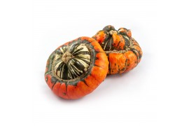 Cucurbita turks turban mix 6 (1036)