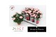 Rosa amorosa infinity soft pink Potroos Infinity Princess P14 Amorosa, 