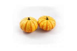 Cucurbita Blaze 4 (1028)