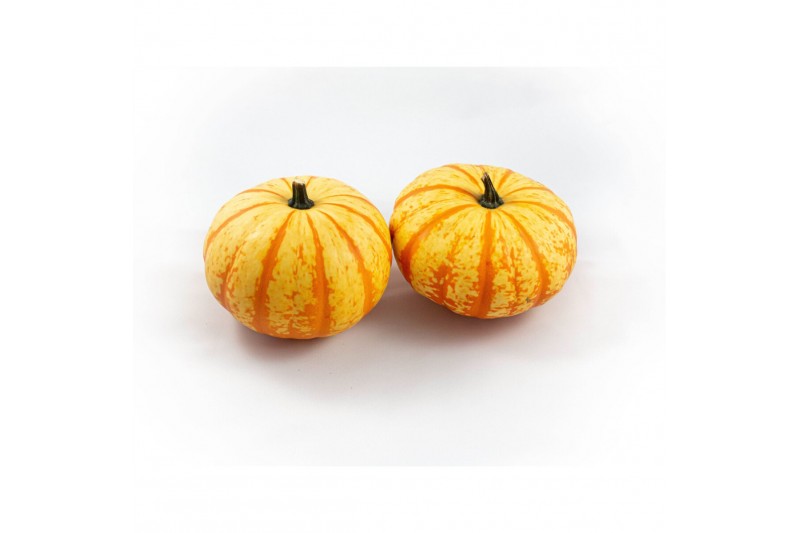 Cucurbita Blaze 4 (1028) 