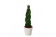 Sansevieria cylindrica keramiek 