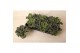 Brassica oleracea gekruld mix 
