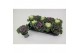 Brassica oleracea gekruld mix 