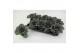 Brassica oleracea glad rood 