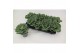 Brassica oleracea glad wit 