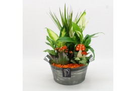 Arrangementen kamerplanten BHCR-2516 Autumn Fundamentals 5 pp