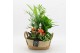 Arrangementen kamerplanten BHCR-2519 Autumn Fundamentals 4 pp 