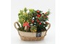 Arrangementen tuinplanten HBCR-2507 Herfst buiten creatie 2 pp
