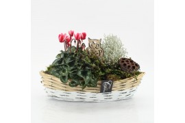 Arrangementen tuinplanten HBCR-2509 Herfst buiten creatie 2 pp