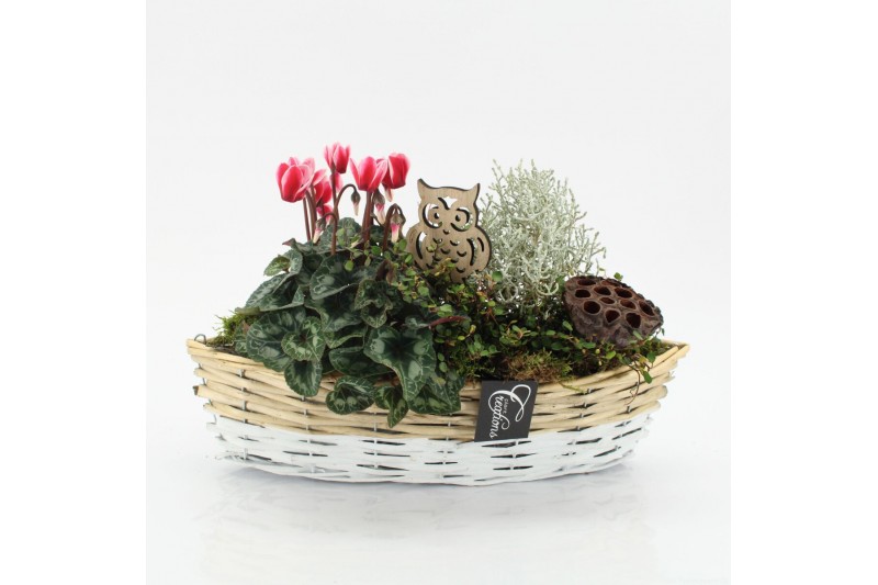 Arrangementen tuinplanten HBCR-2509 Herfst buiten creatie 2 pp 