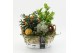 Arrangementen tuinplanten HBCR-2510 Herfst buiten creatie 3 pp 