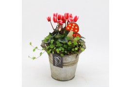 Arrangementen tuinplanten HBCR-2511 Herfst buiten creatie 2 pp