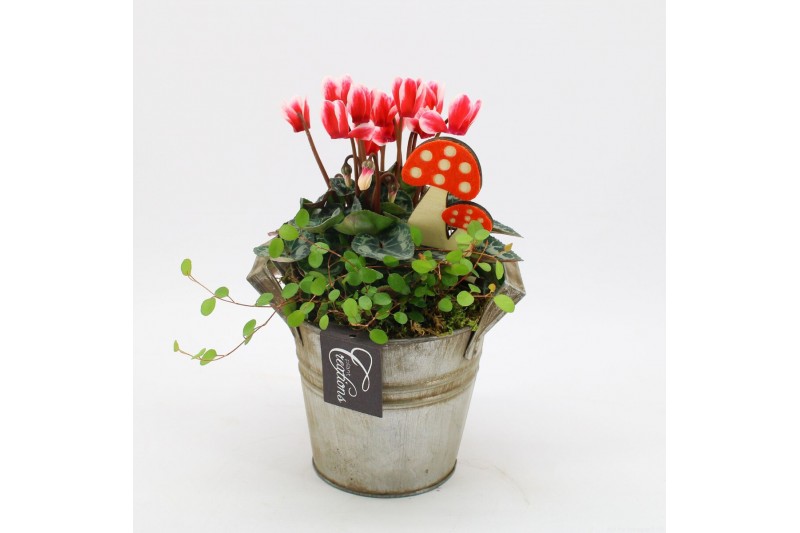 Arrangementen tuinplanten HBCR-2511 Herfst buiten creatie 2 pp 