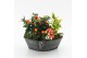 Arrangementen tuinplanten HBCR-2512 Herfst buiten creatie 2 pp 