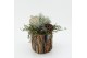 Arrangementen tuinplanten HBCR-2530 Herfst buiten creatie 1 pp 