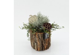 Arrangementen tuinplanten HBCR-2530 Herfst buiten creatie 1 pp