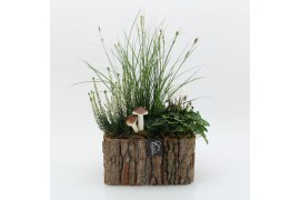 Arrangementen tuinplanten HBCR-2531 Herfst buiten creatie 3 pp