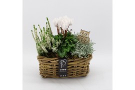 Arrangementen tuinplanten HBCR-2532 Herfst buiten creatie 3 pp