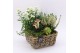 Arrangementen tuinplanten HBCR-2533 Herfst buiten creatie 4 pp 