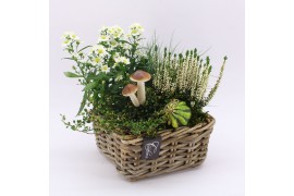 Arrangementen tuinplanten HBCR-2533 Herfst buiten creatie 4 pp