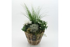 Arrangementen tuinplanten HBCR-2534 Herfst buiten creatie 4 pp