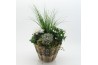 Arrangementen tuinplanten HBCR-2534 Herfst buiten creatie 4 pp