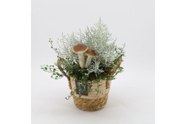 Arrangementen tuinplanten HBCR-2535 Herfst buiten creatie 1 pp