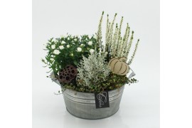 Arrangementen tuinplanten HBCR-2543 Herfst buiten creatie 3 pp