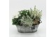 Arrangementen tuinplanten HBCR-2544 Herfst buiten creatie 4 pp 