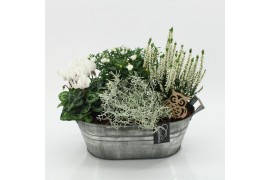 Arrangementen tuinplanten HBCR-2544 Herfst buiten creatie 4 pp
