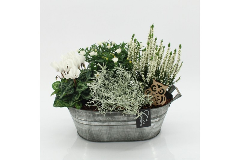 Arrangementen tuinplanten HBCR-2544 Herfst buiten creatie 4 pp 