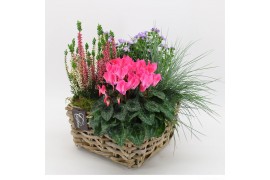Arrangementen tuinplanten HBCR-2518 Herfst buiten creatie 4 pp