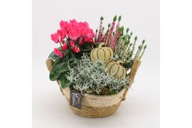 Arrangementen tuinplanten HBCR-2522 Herfst buiten creatie 3 pp