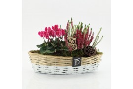 Arrangementen tuinplanten HBCR-2523 Herfst buiten creatie 2 pp