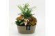 Arrangementen kamerplanten HECR-2501 Autumn Essentials 3 pp 