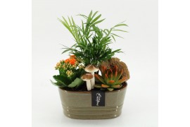 Arrangementen kamerplanten HECR-2501 Autumn Essentials 3 pp