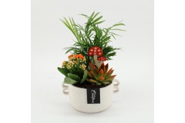 Arrangementen kamerplanten HECR-2513 Autumn Essentials 3 pp