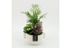 Arrangementen kamerplanten HECR-2514 Autumn Essentials 3 pp 