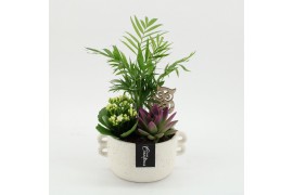 Arrangementen kamerplanten HECR-2514 Autumn Essentials 3 pp