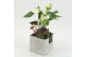 Arrangementen anthurium HECR-2521 Autumn Essentials 2 pp 