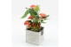 Arrangementen anthurium HECR-2522 Autumn Essentials 2 pp 