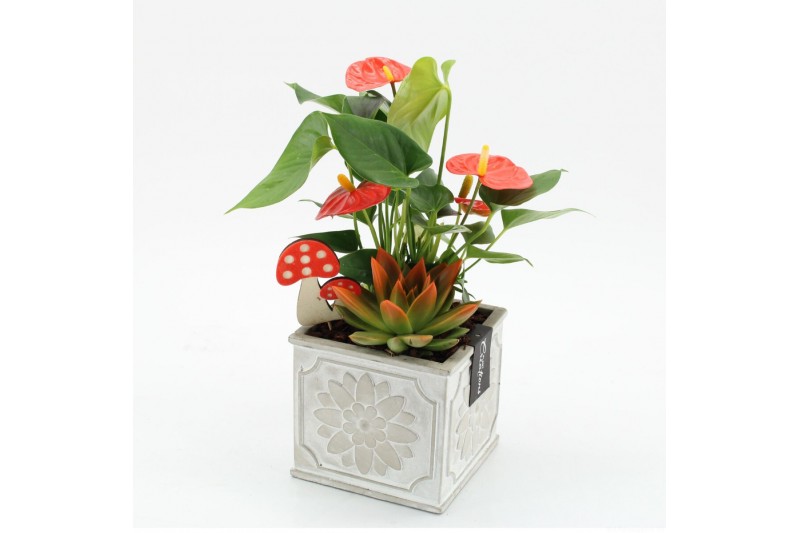 Arrangementen anthurium HECR-2522 Autumn Essentials 2 pp Arrangementen anthurium HECR-2522 Autumn Essentials 2 pp