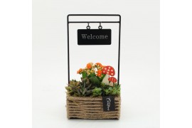 Arrangementen kamerplanten HECR-2541 Autumn Essentials 3 pp