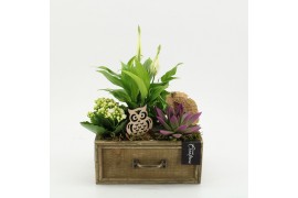 Arrangementen kamerplanten HECR-2542 Autumn Essentials 3 pp