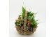 Arrangementen kamerplanten HECR-2543 Autumn Essentials 3 pp 