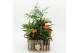 Arrangementen anthurium HECR-2544 Autumn Essentials 5 pp 