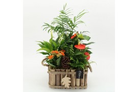 Arrangementen anthurium HECR-2544 Autumn Essentials 5 pp
