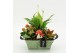 Arrangementen kamerplanten HECR-2546 Autumn Essentials 3 pp 