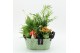 Arrangementen kamerplanten HECR-2547 Autumn Essentials 4 pp 