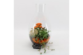 Arrangementen kamerplanten BHCR-2506 Autumn Fundamentals terrarium 3 p